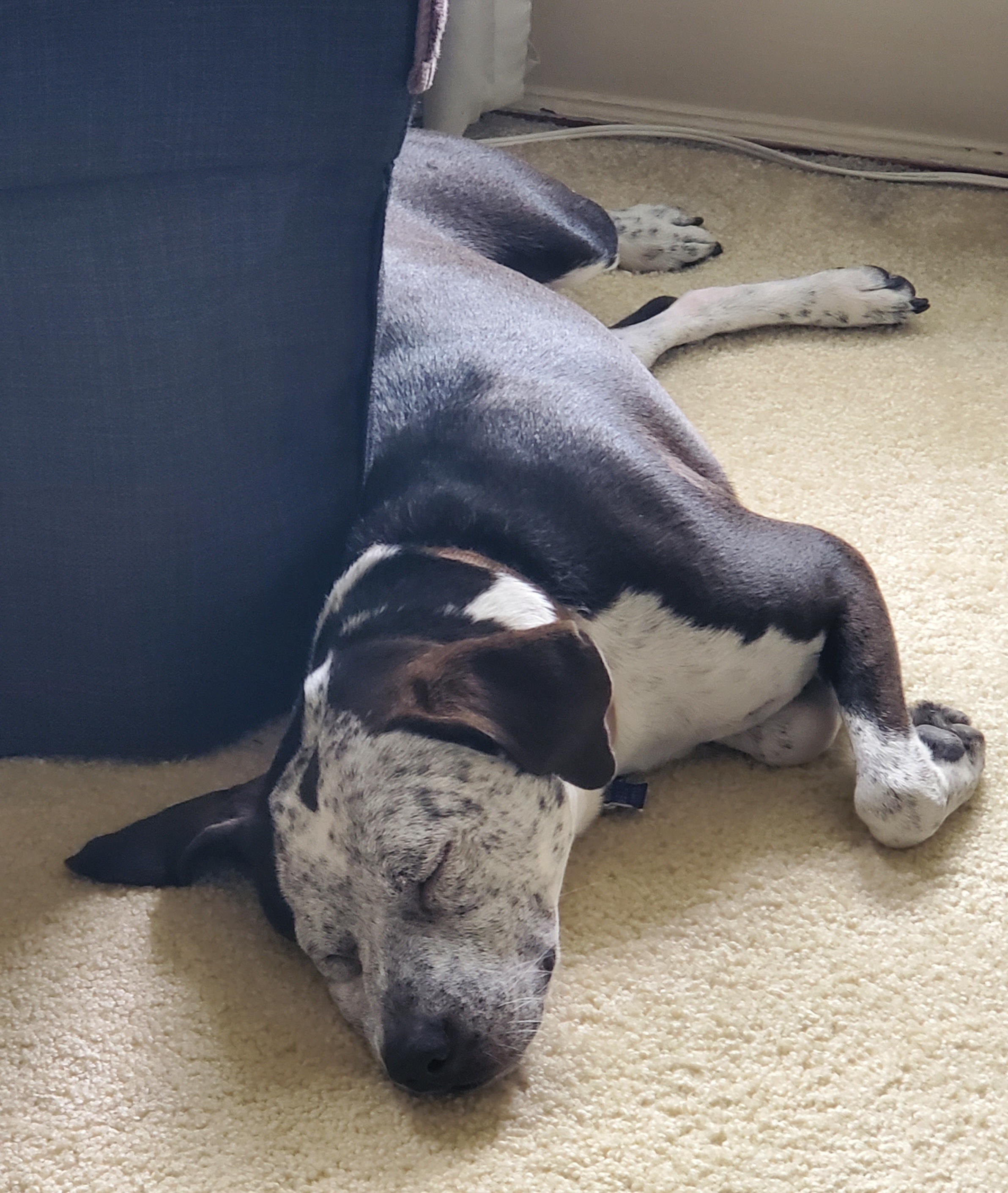 The Peace that comes with Confidence and Security